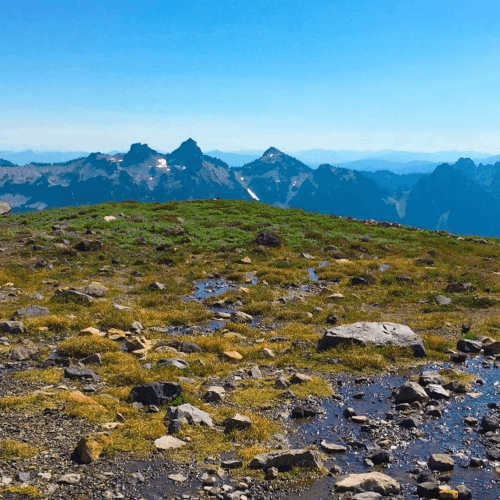 Washington thumbnail